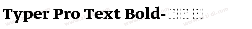 Typer Pro Text Bold字体转换